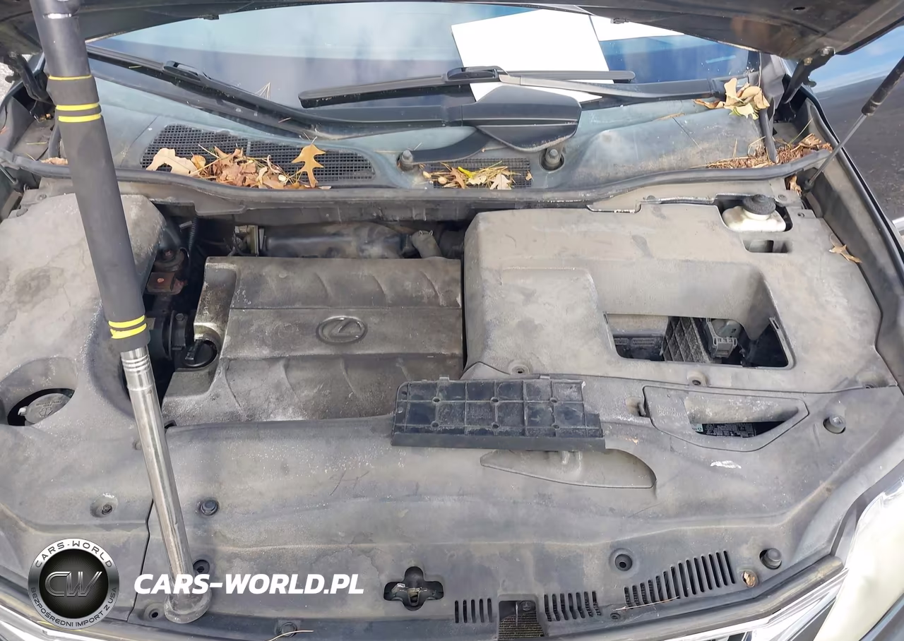 2011 Lexus Rx 350 VIN:2T2BK1BA1BC095249 - 10