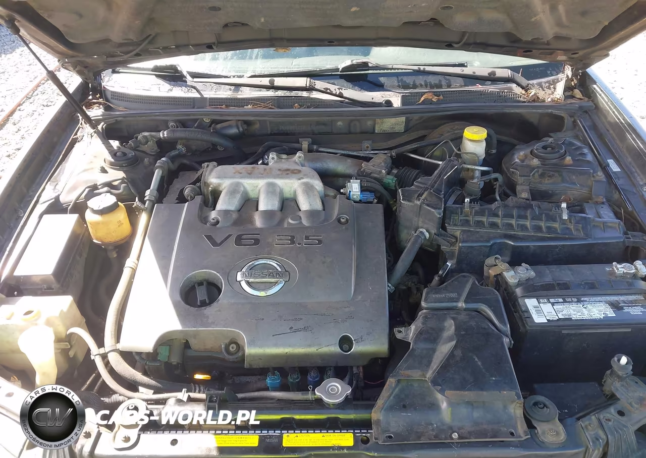 2003 Nissan Maxima Gle VIN:JN1DA31A13T416488 - 10