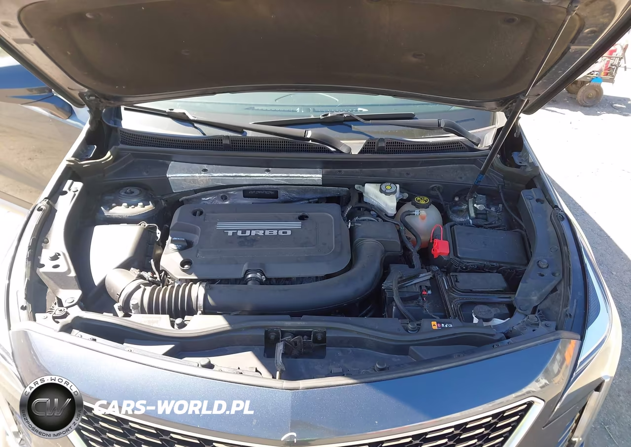 2019 Cadillac Xt4 Premium Luxury VIN:1GYFZDR49KF162295 - 10