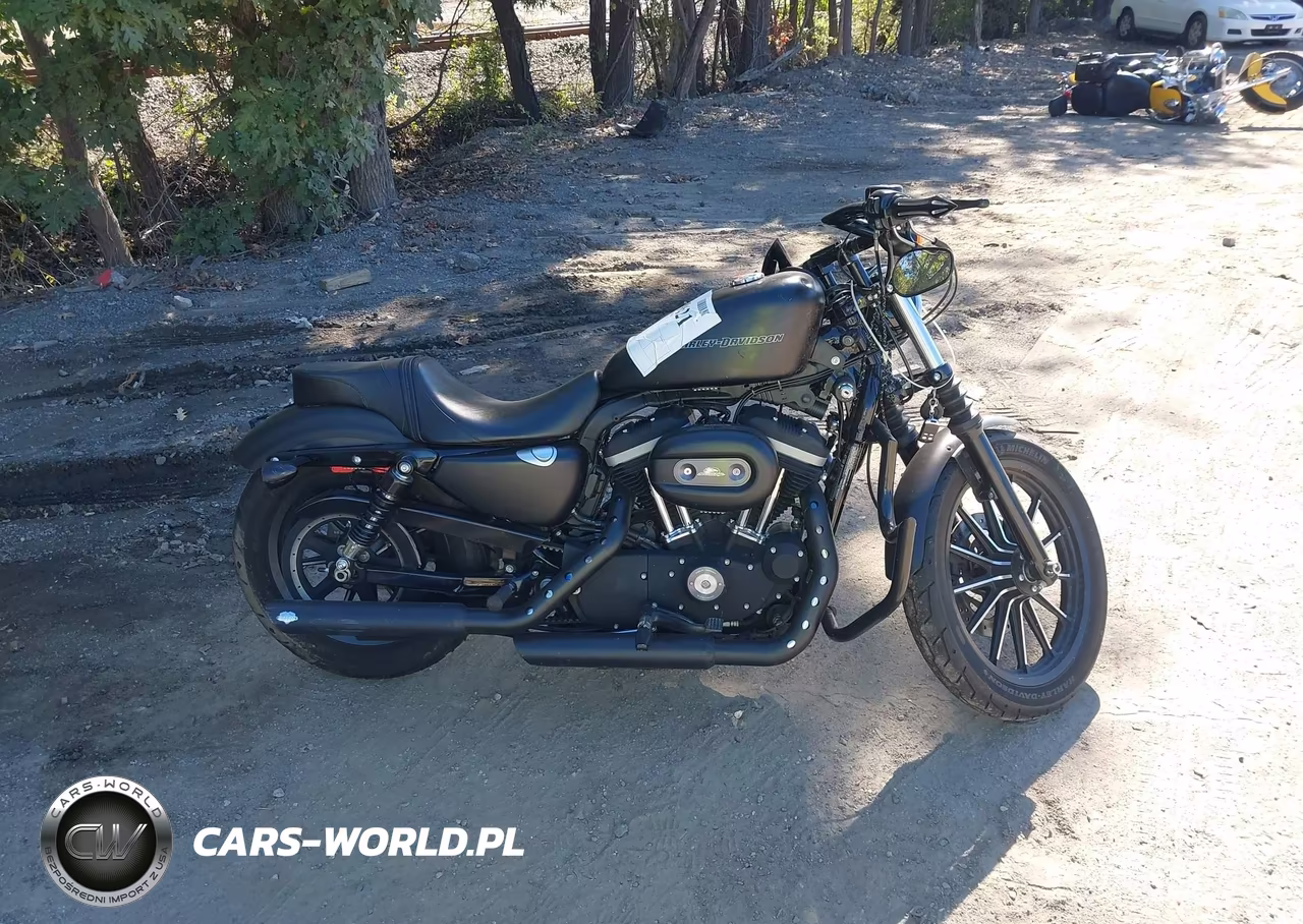 2011 Harley-Davidson Xl883 N VIN:1HD4LE213BC444016 - 12