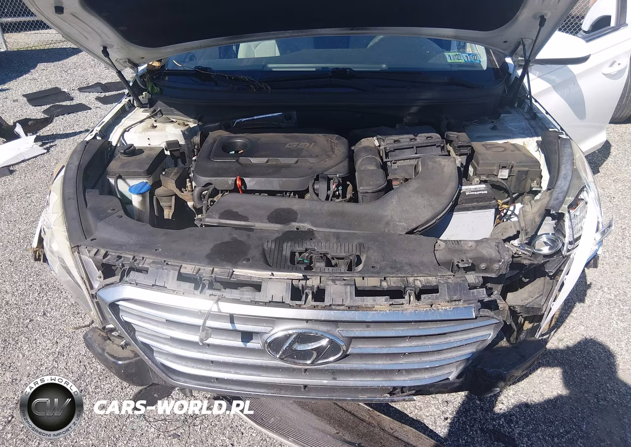 2015 Hyundai Sonata Se VIN:5NPE24AF2FH172729 - 10