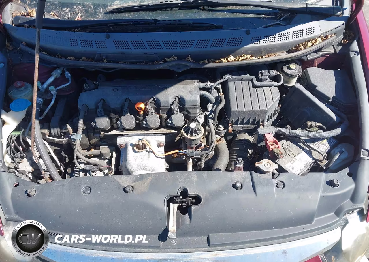 2009 Honda Civic Lx VIN:19XFA16529E023509 - 10