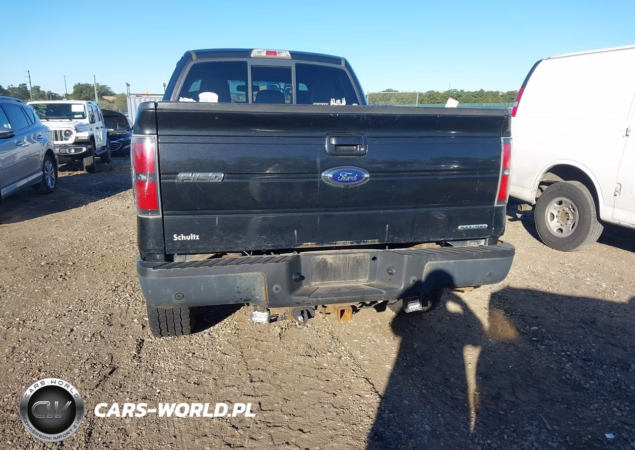 2011 Ford F-150 Fx4 VIN:1FTFX1EF0BFB62610 - 16