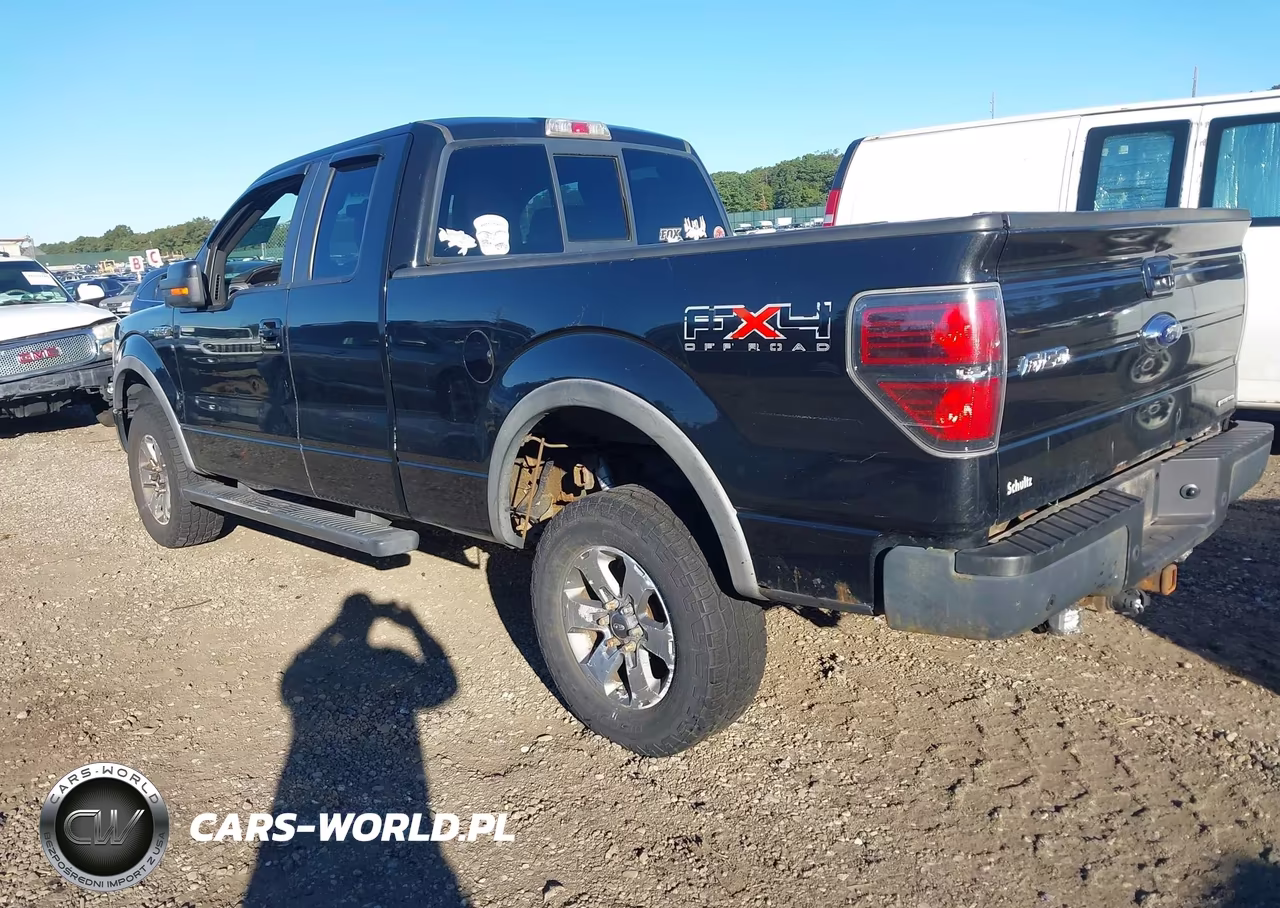 2011 Ford F-150 Fx4 VIN:1FTFX1EF0BFB62610 - 3