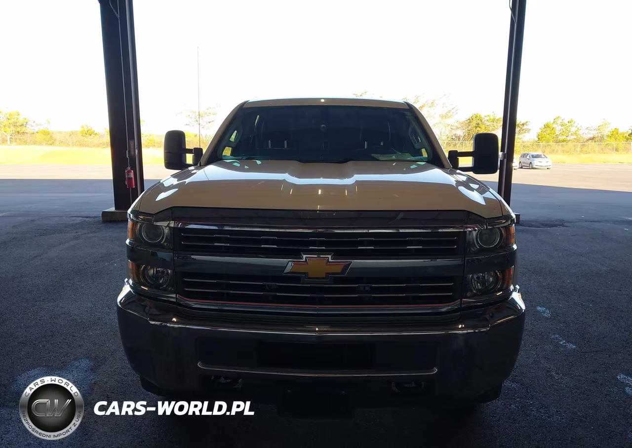 2017 Chevrolet Silverado 3500Hd Wt VIN:1GC4KYCG5HF192219 - 17