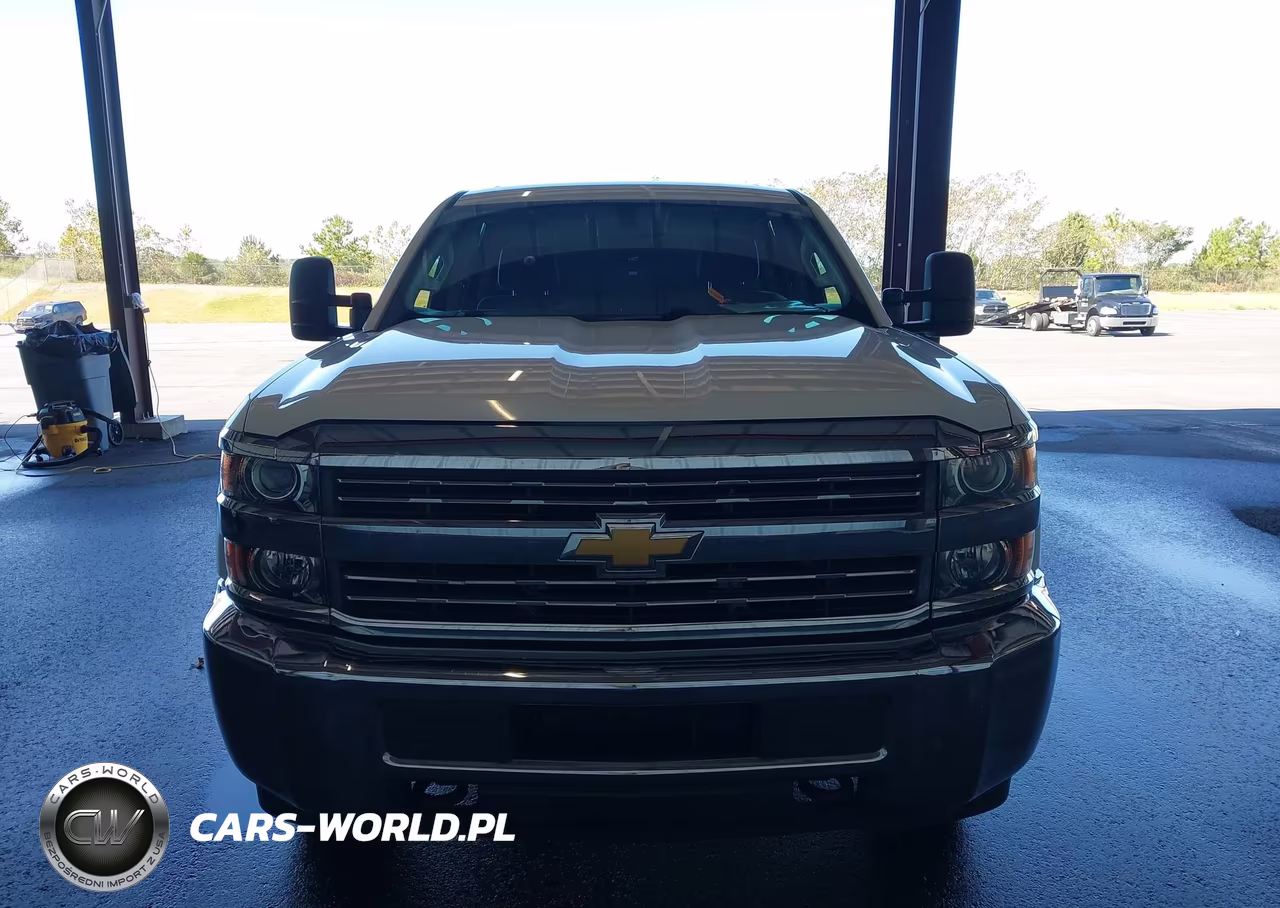 2017 Chevrolet Silverado 3500Hd Wt VIN:1GC4KYCG1HF191715 - 17