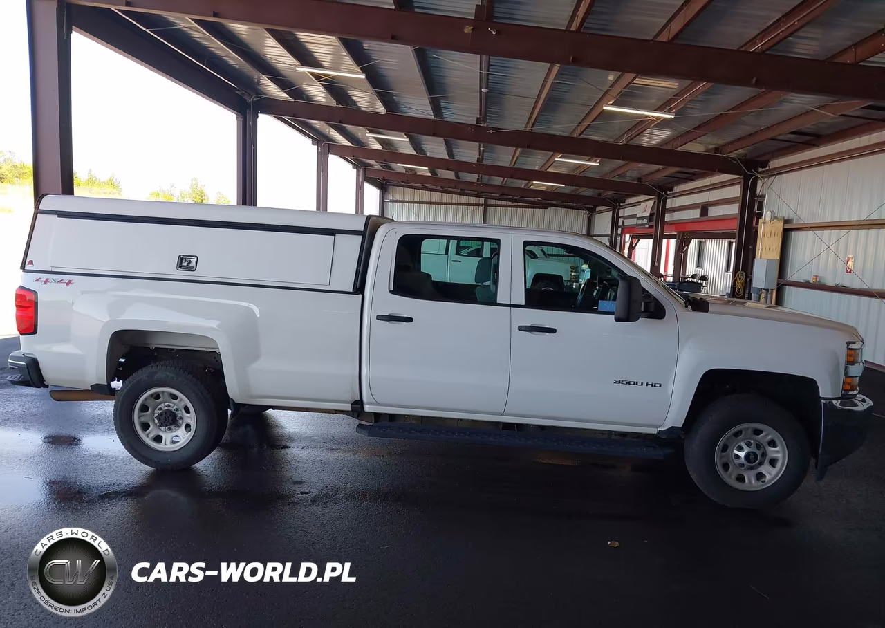 2017 Chevrolet Silverado 3500Hd Wt VIN:1GC4KYCG1HF191715 - 18