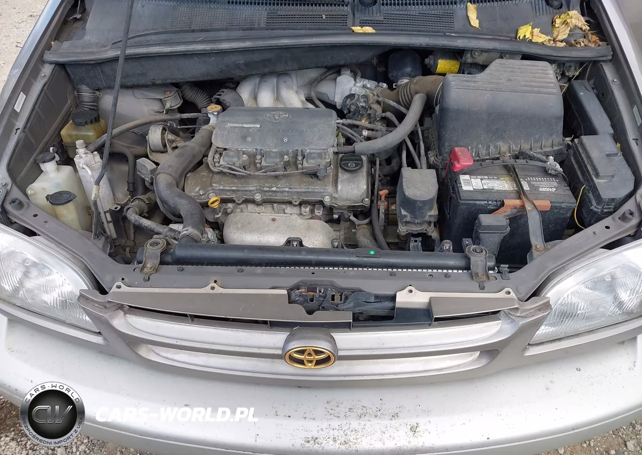 1998 Toyota Sienna Xle VIN:4T3ZF13C2WU043308 - 10