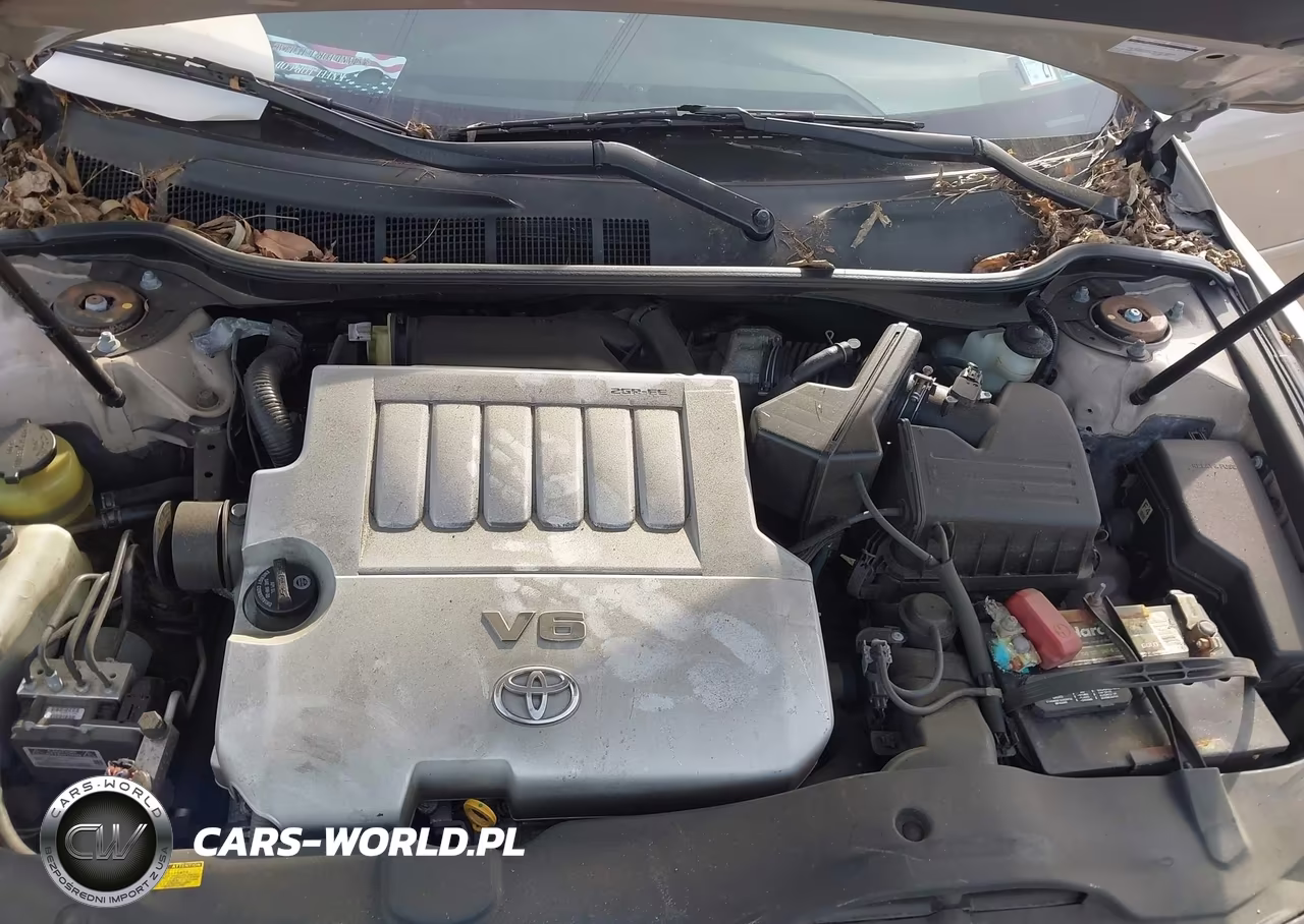 2007 Toyota Camry Xle V6 VIN:4T1BK46K97U022094 - 10
