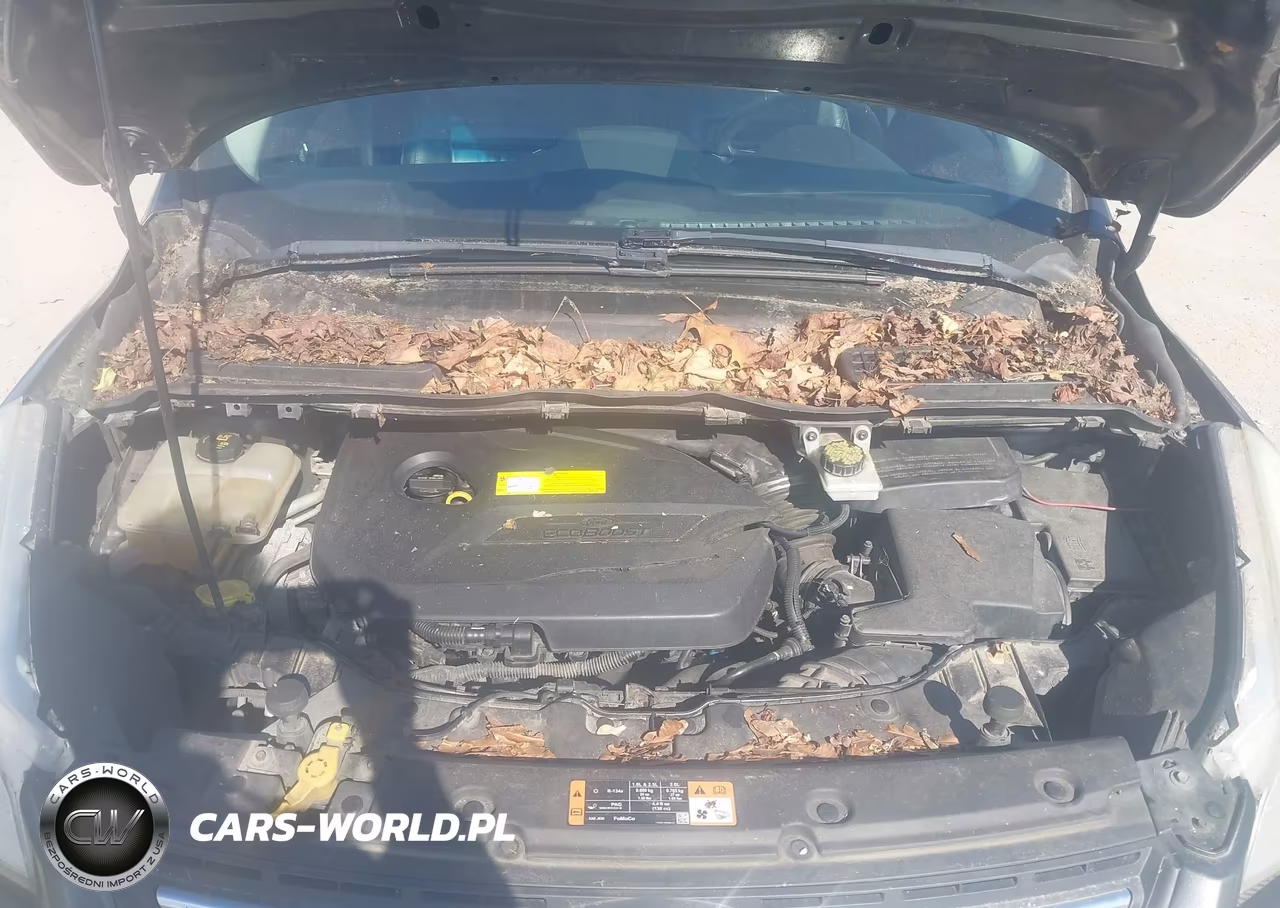 2015 Ford Escape Se VIN:1FMCU9GX7FUB22649 - 10
