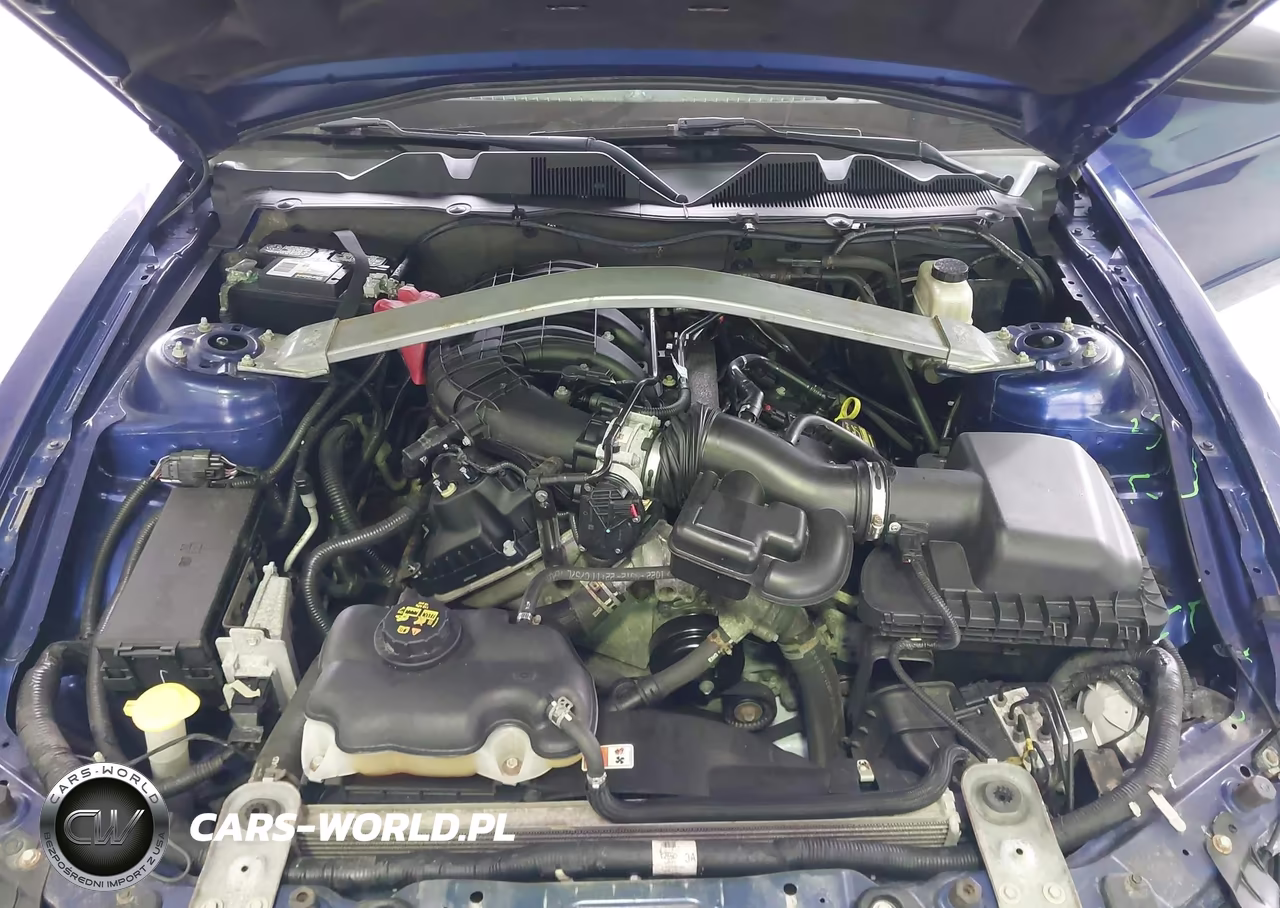 2013 Ford Mustang VIN:1ZVBP8EM0D5218122 - 10