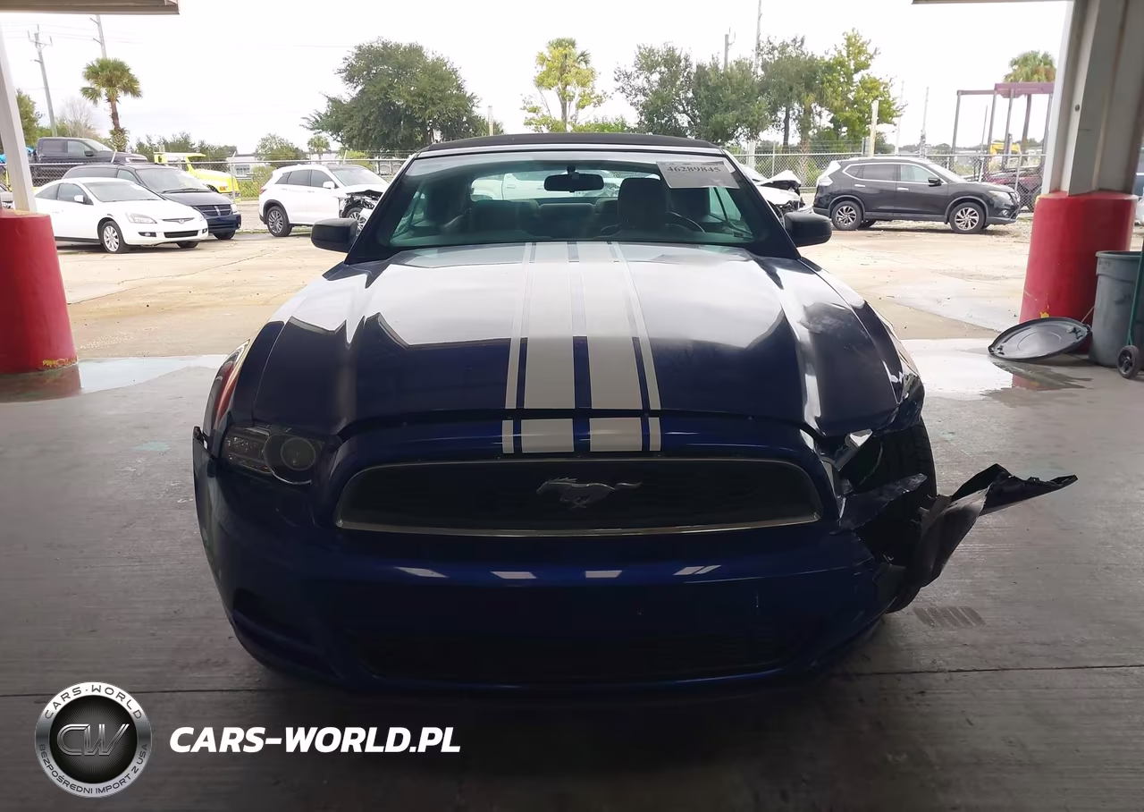 2013 Ford Mustang VIN:1ZVBP8EM0D5218122 - 13