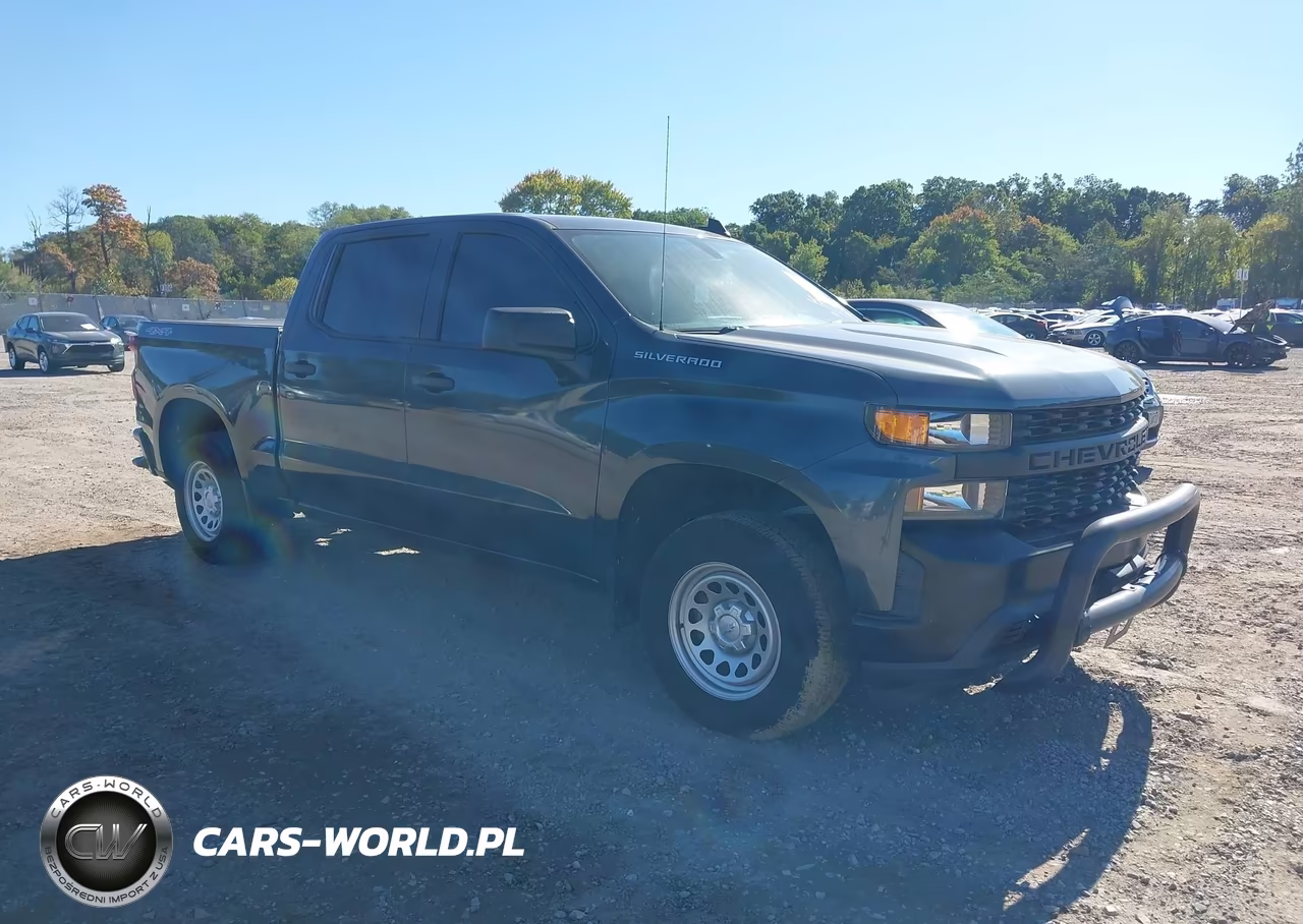 2019 Chevrolet Silverado 1500 Work Truck