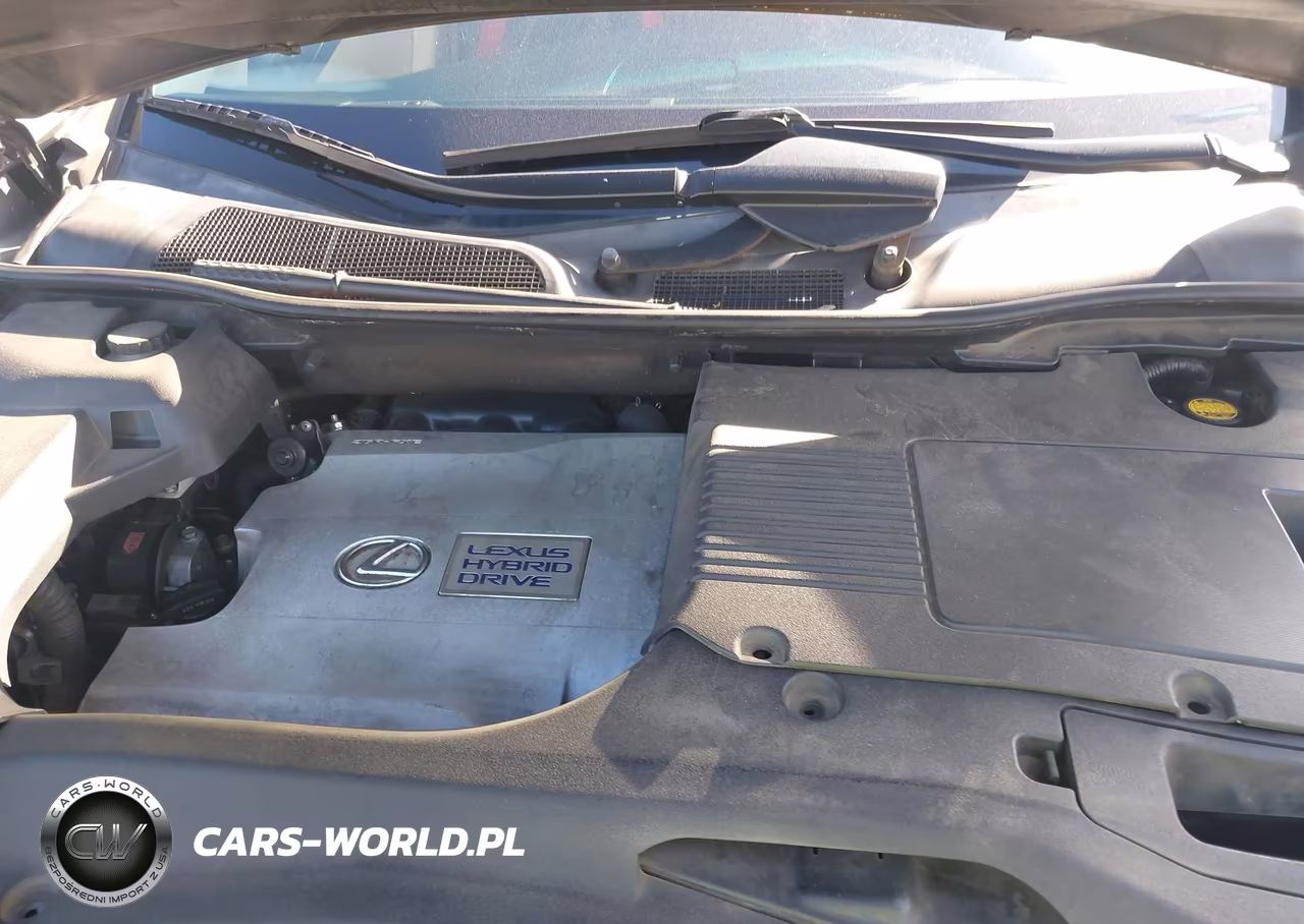2010 Lexus Rx 450H VIN:JTJZB1BAXA2403113 - 10