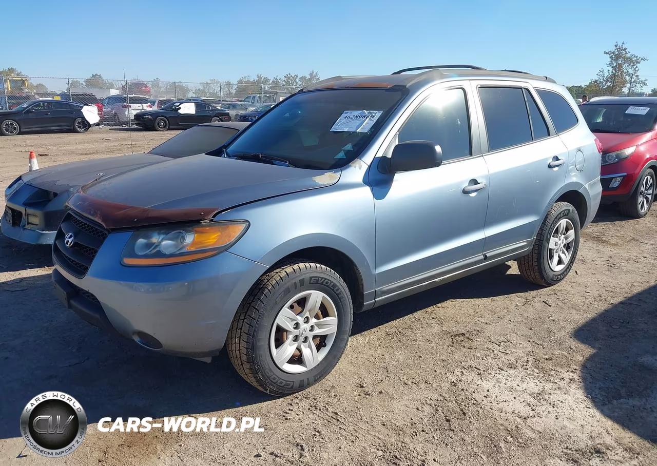 2009 Hyundai Santa Fe Gls VIN:5NMSG13D99H241674 - 2
