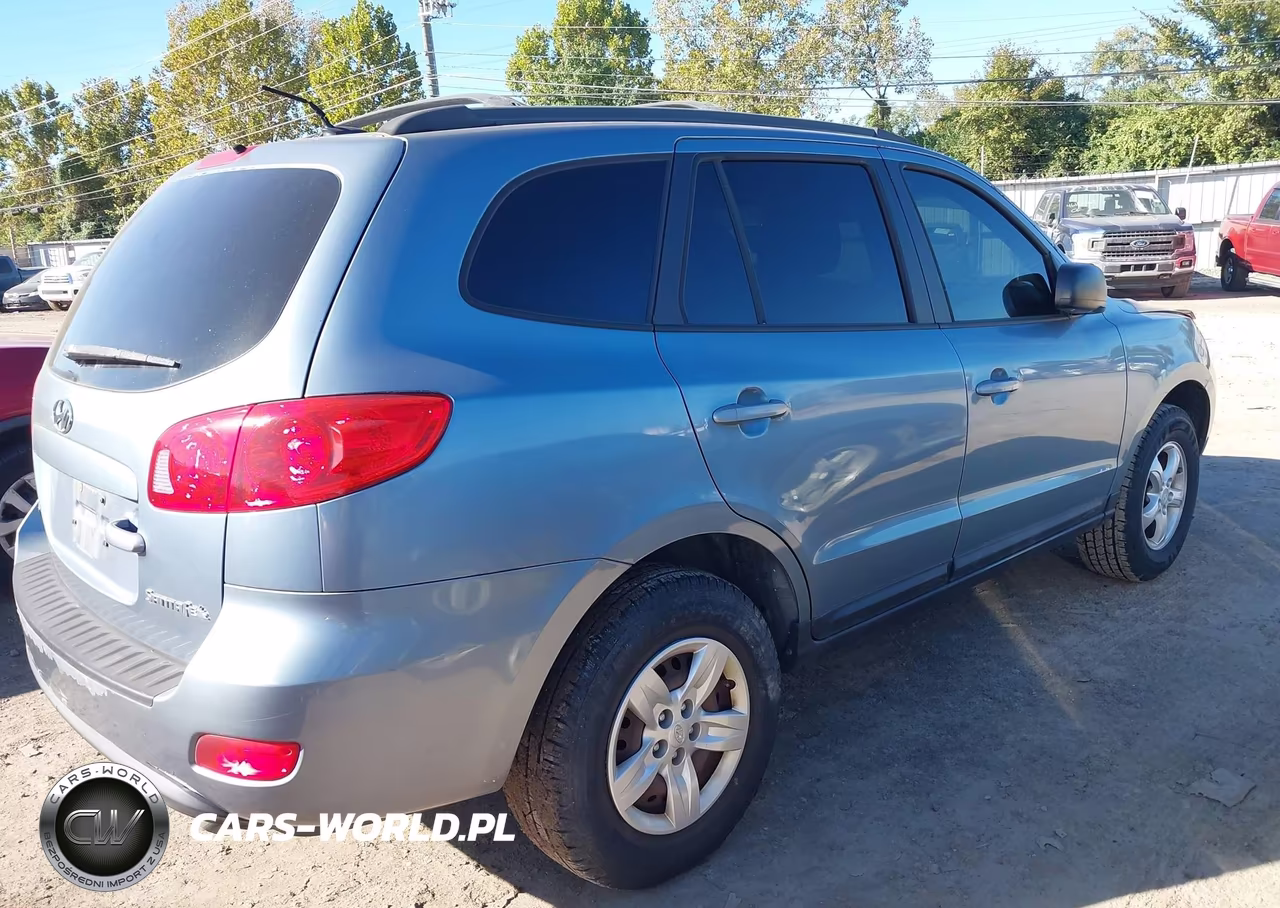 2009 Hyundai Santa Fe Gls VIN:5NMSG13D99H241674 - 4