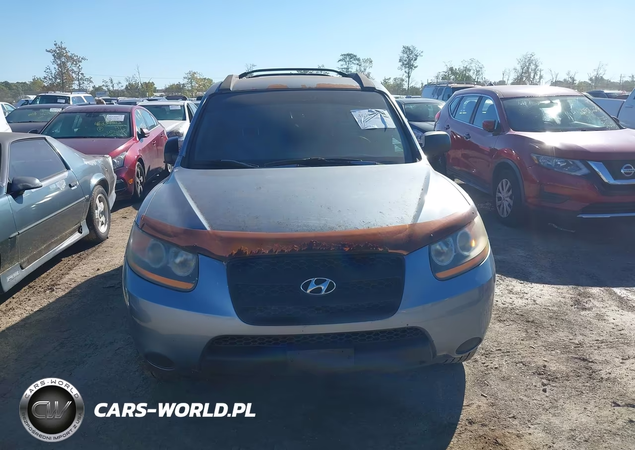 2009 Hyundai Santa Fe Gls VIN:5NMSG13D99H241674 - 6