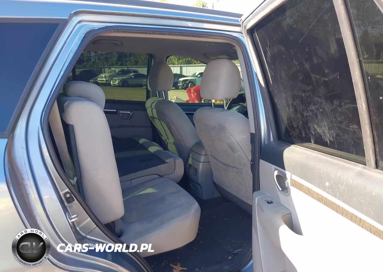 2009 Hyundai Santa Fe Gls VIN:5NMSG13D99H241674 - 8