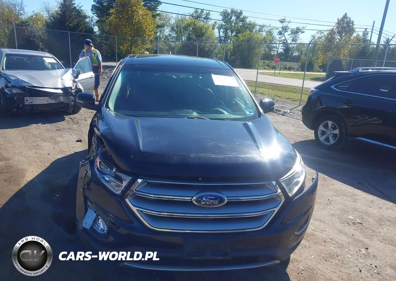 2018 Ford Edge Sel VIN:2FMPK4J95JBB23687 - 11