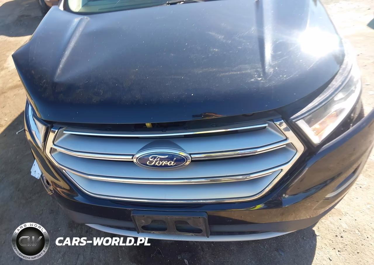 2018 Ford Edge Sel VIN:2FMPK4J95JBB23687 - 6