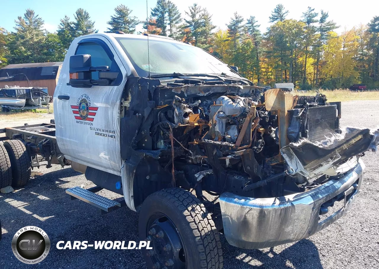 2021 Chevrolet Silverado 4500Hd 1Wt VIN:1HTKJPVM2MH675935 - 13