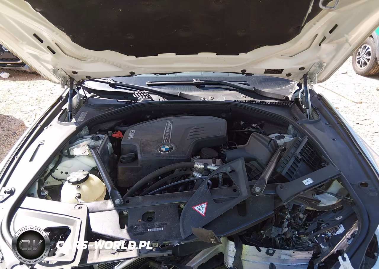 2014 BMW 528I VIN:WBA5A5C54ED507083 - 10