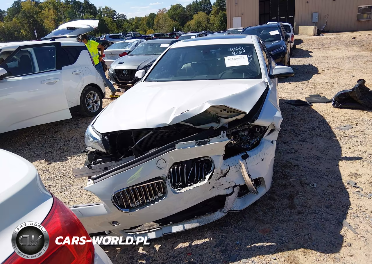 2014 BMW 528I VIN:WBA5A5C54ED507083 - 12