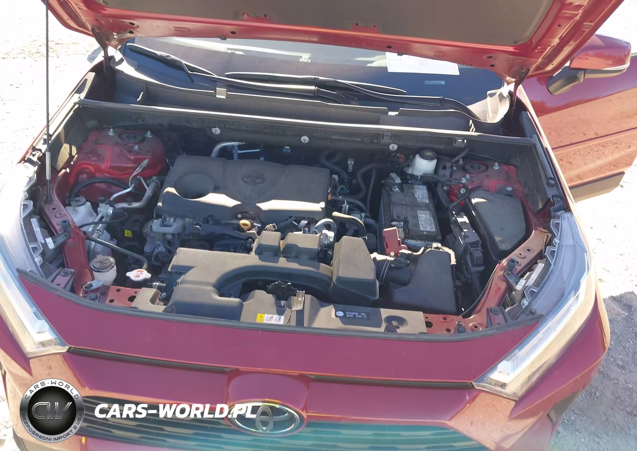 2023 Toyota Rav4 Xle VIN:2T3W1RFVXPW266565 - 10
