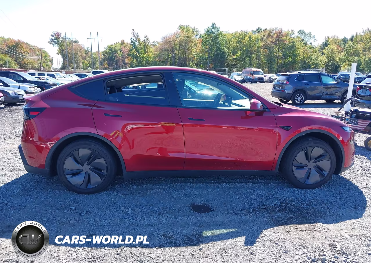 2026 Tesla Model Y All-Wheel Drive-Long Range Launch Series-Premium All-Wheel Drive VIN:7SAYGDEEXTF448975 - 12