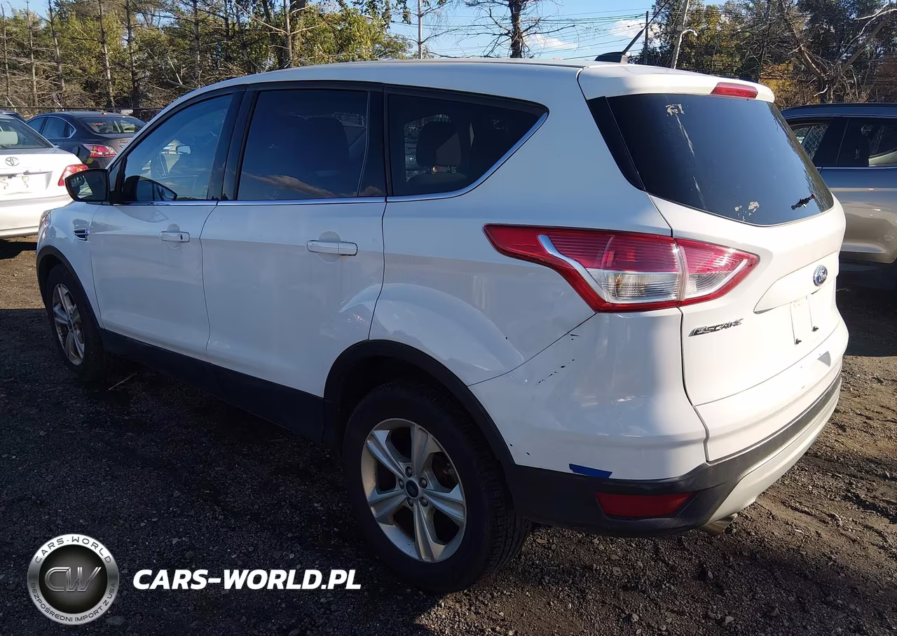 2015 Ford Escape Se VIN:1FMCU0G71FUB16728 - 3