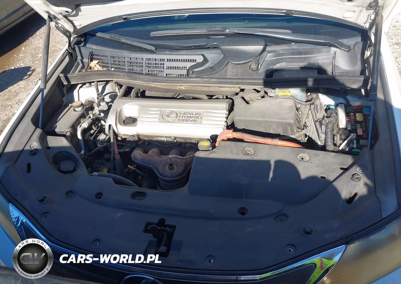 2010 Lexus Hs 250H Premium VIN:JTHBB1BA8A2012786 - 10