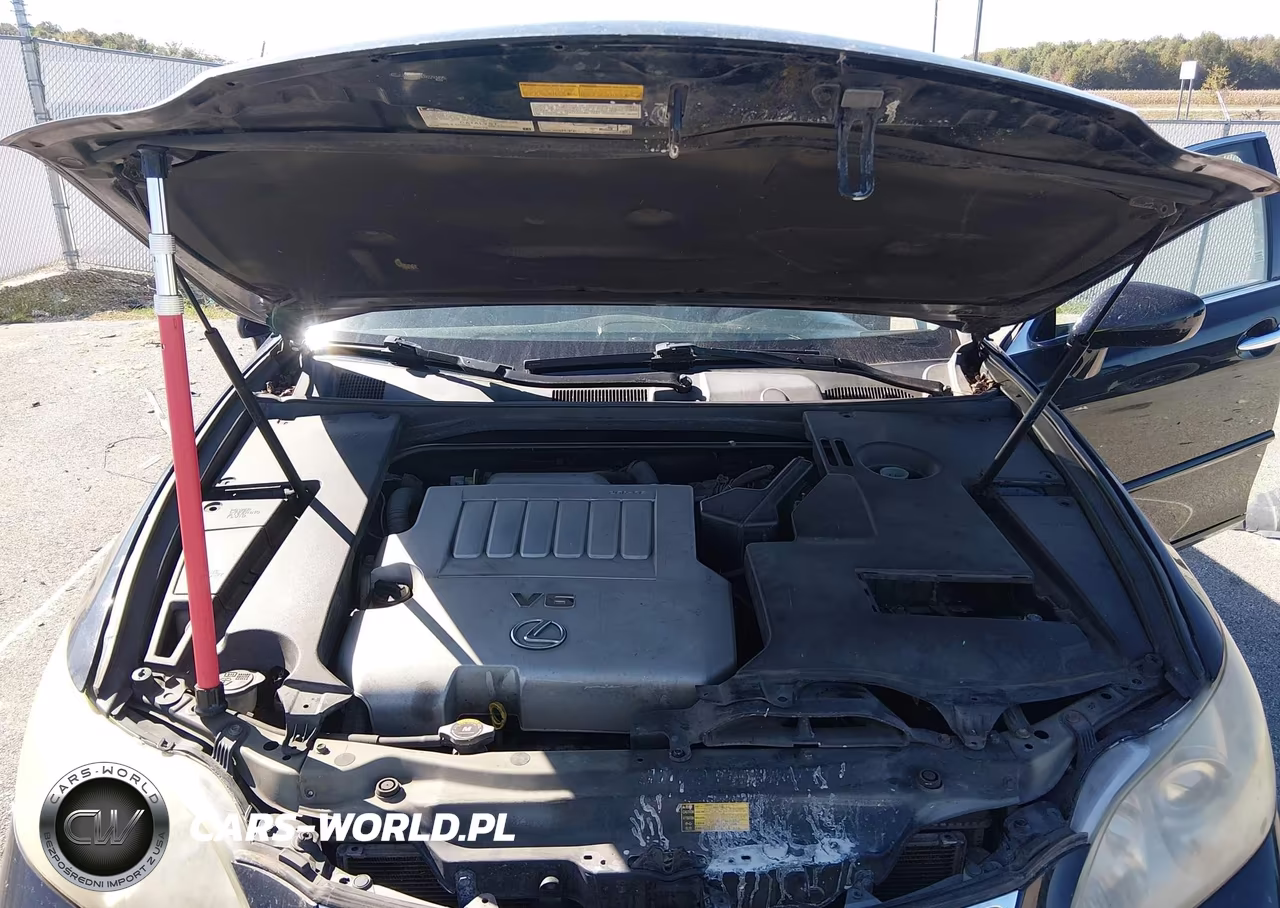 2009 Lexus Es 350 VIN:JTHBJ46G092293495 - 10