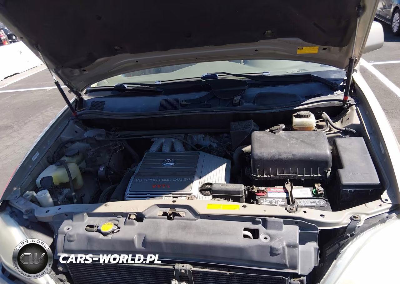 2002 Lexus Rx 300 VIN:JTJGF10U220142470 - 10