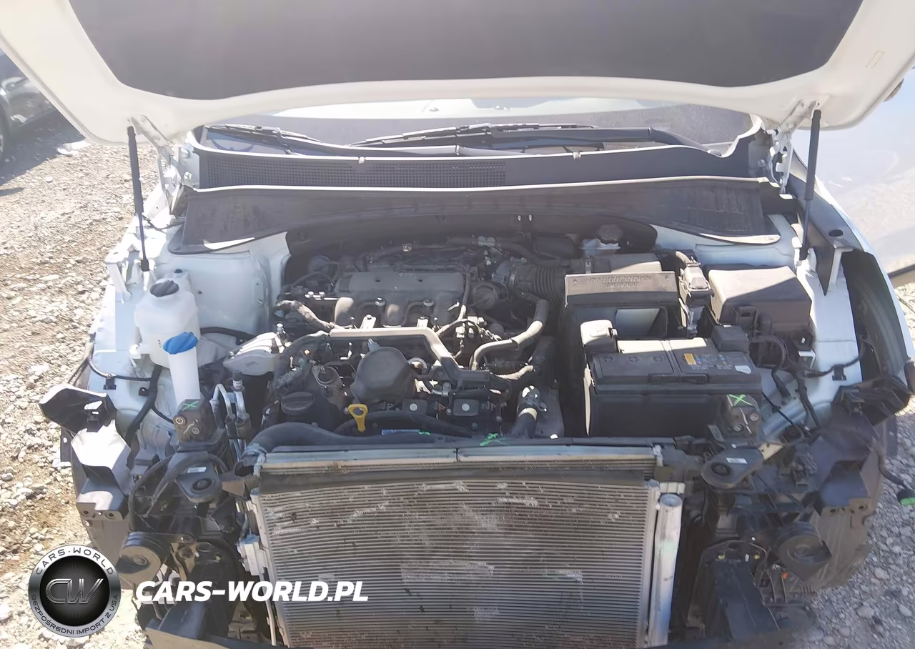 2020 Kia Sorento 3.3L Ex VIN:5XYPH4A52LG696058 - 10