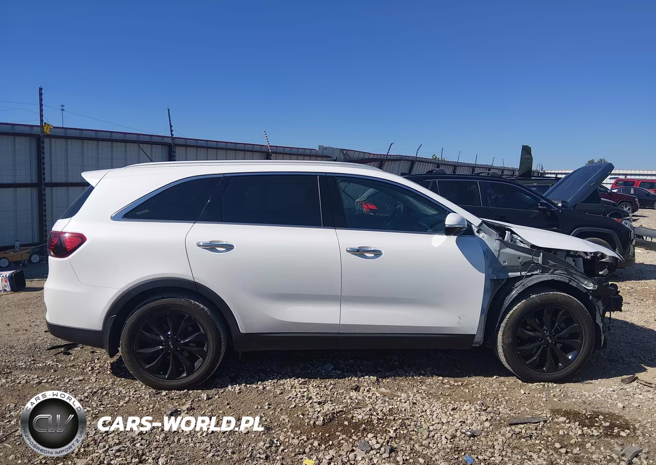 2020 Kia Sorento 3.3L Ex VIN:5XYPH4A52LG696058 - 14