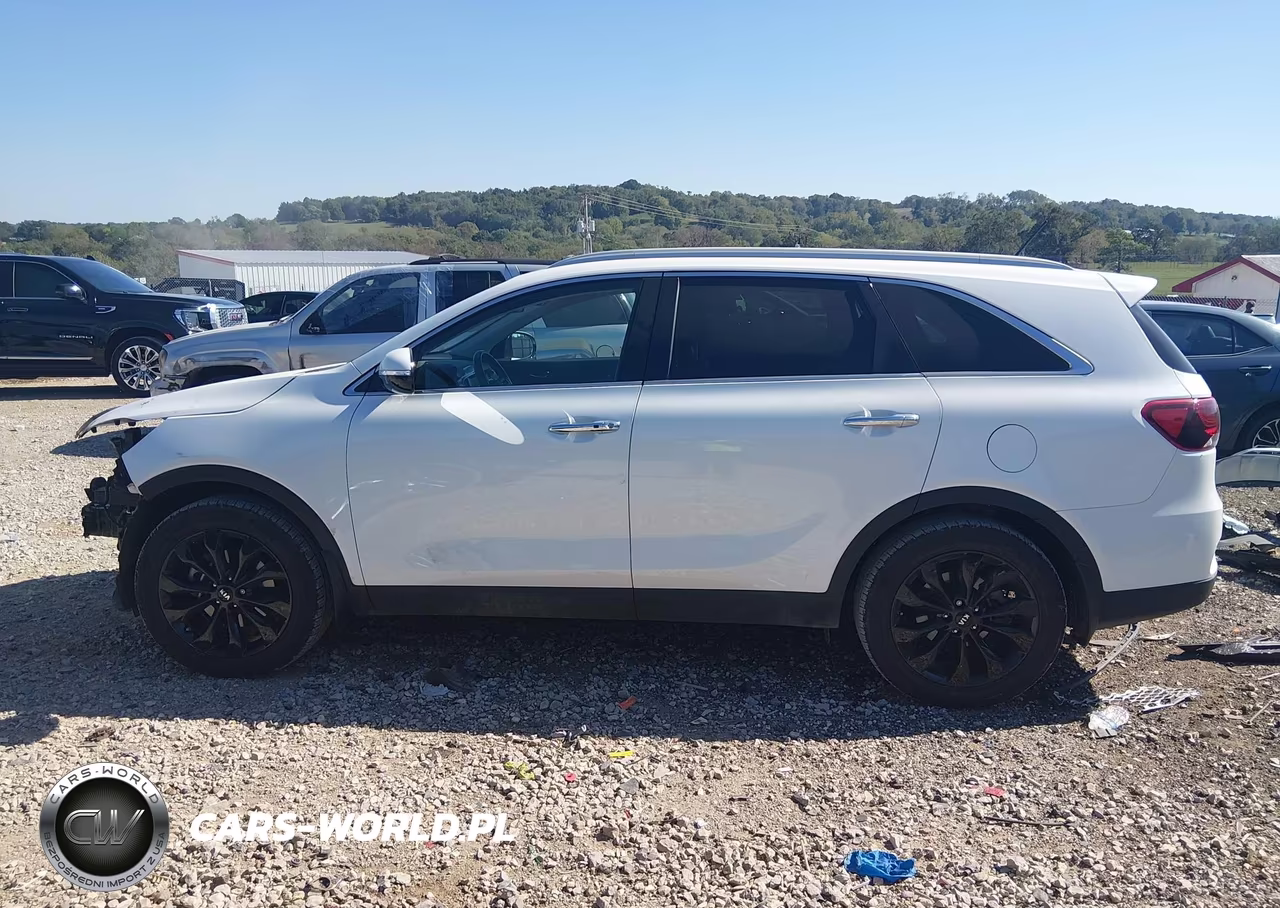 2020 Kia Sorento 3.3L Ex VIN:5XYPH4A52LG696058 - 15