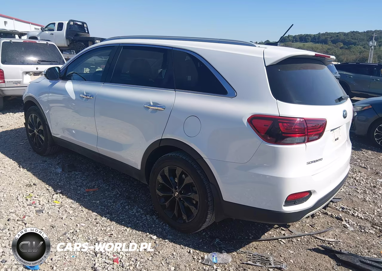 2020 Kia Sorento 3.3L Ex VIN:5XYPH4A52LG696058 - 3