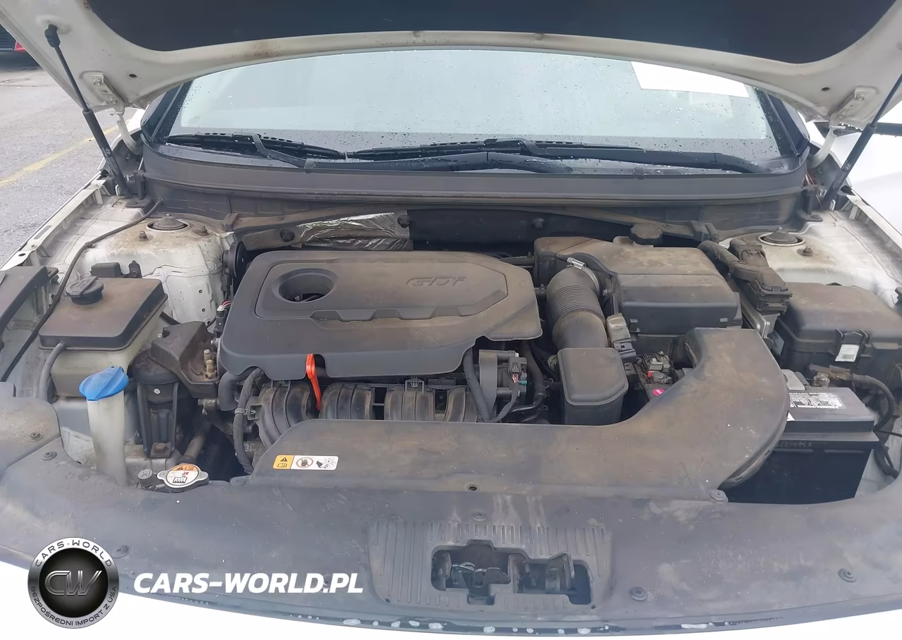 2015 Hyundai Sonata Se VIN:5NPE24AF2FH002161 - 10
