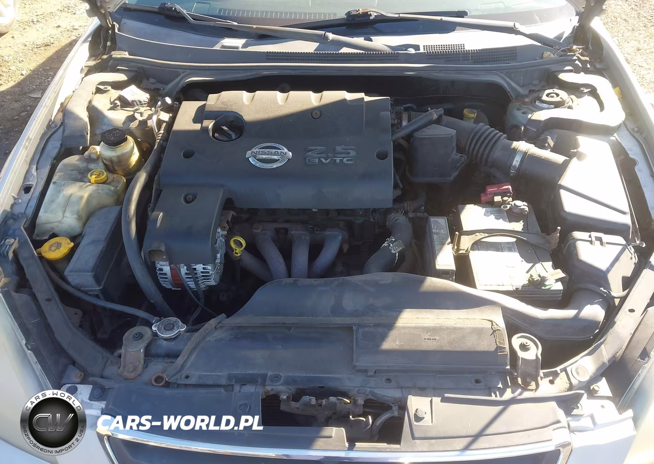 2002 Nissan Altima 2.5 S VIN:1N4AL11DX2C161501 - 10