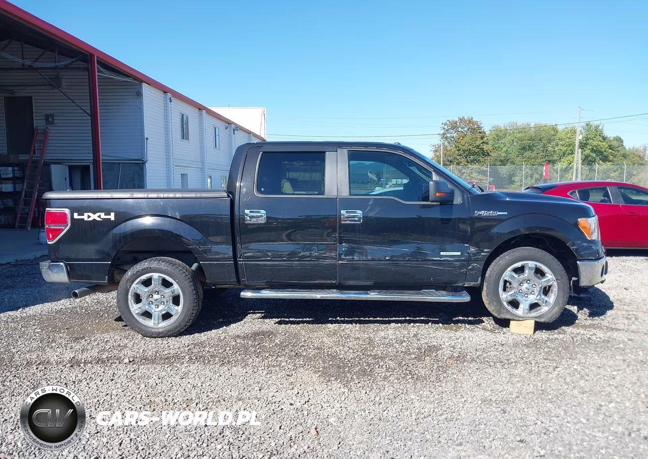 2013 Ford F-150 Xlt VIN:1FTFW1ET7DKG16449 - 13