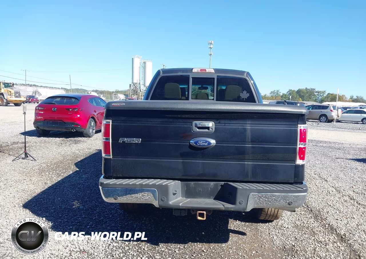 2013 Ford F-150 Xlt VIN:1FTFW1ET7DKG16449 - 16