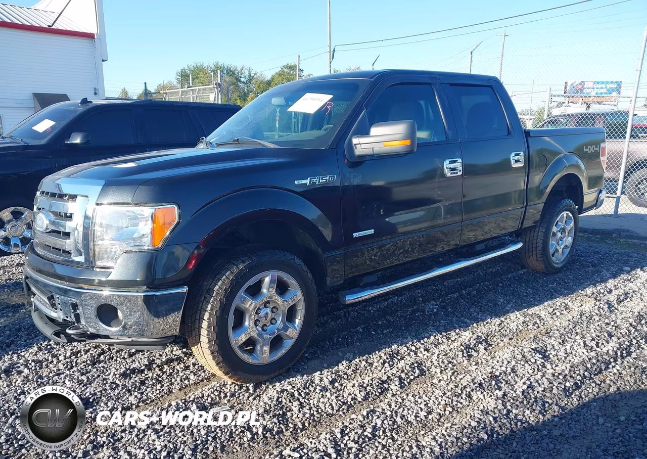 2013 Ford F-150 Xlt VIN:1FTFW1ET7DKG16449 - 2