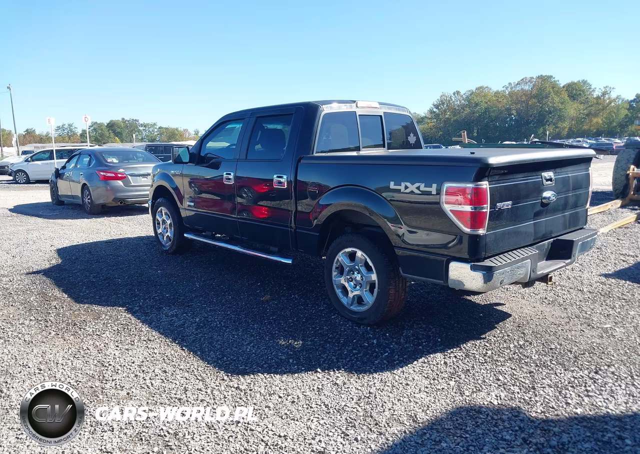 2013 Ford F-150 Xlt VIN:1FTFW1ET7DKG16449 - 3