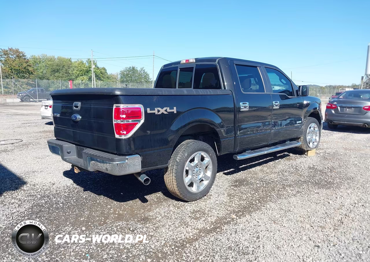 2013 Ford F-150 Xlt VIN:1FTFW1ET7DKG16449 - 4