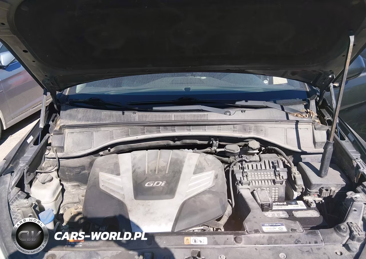 2016 Hyundai Santa Fe Se VIN:KM8SM4HF2GU161154 - 10