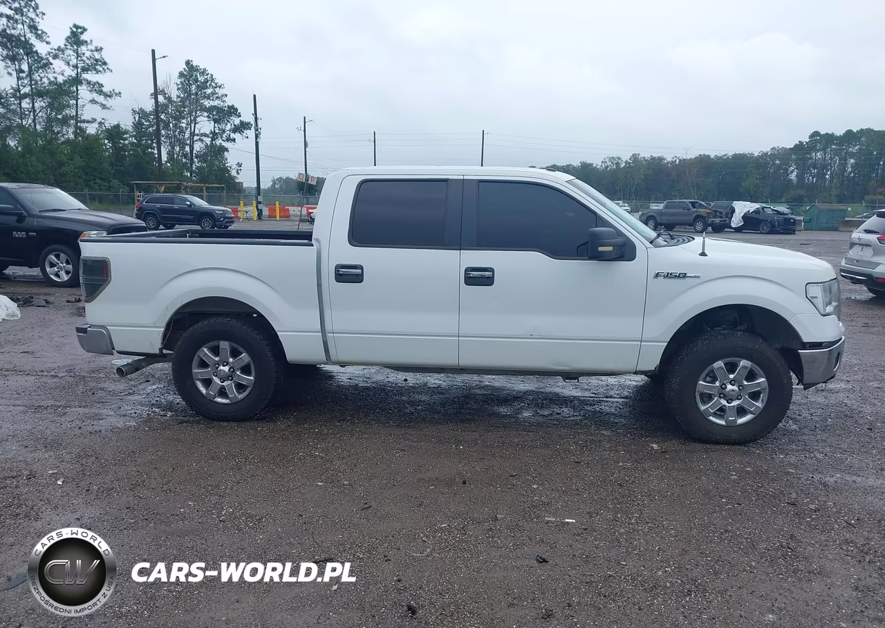 2013 Ford F-150 Xlt VIN:1FTFW1CFXDFA72177 - 13