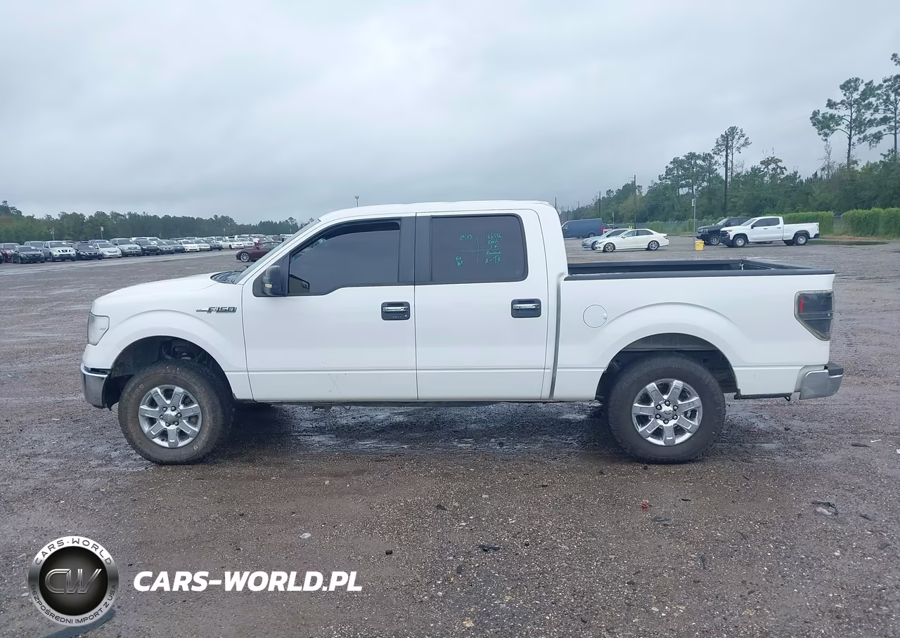 2013 Ford F-150 Xlt VIN:1FTFW1CFXDFA72177 - 14