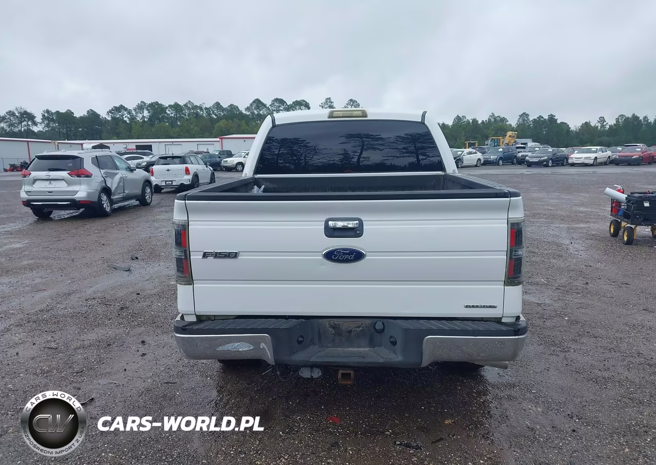 2013 Ford F-150 Xlt VIN:1FTFW1CFXDFA72177 - 16