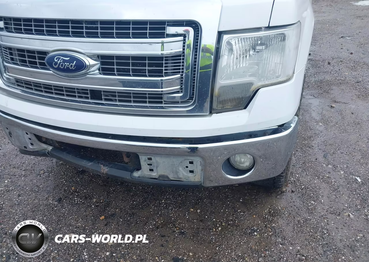2013 Ford F-150 Xlt VIN:1FTFW1CFXDFA72177 - 17