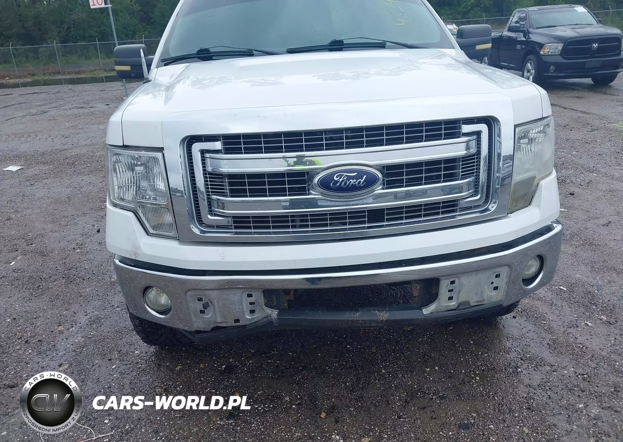 2013 Ford F-150 Xlt VIN:1FTFW1CFXDFA72177 - 18
